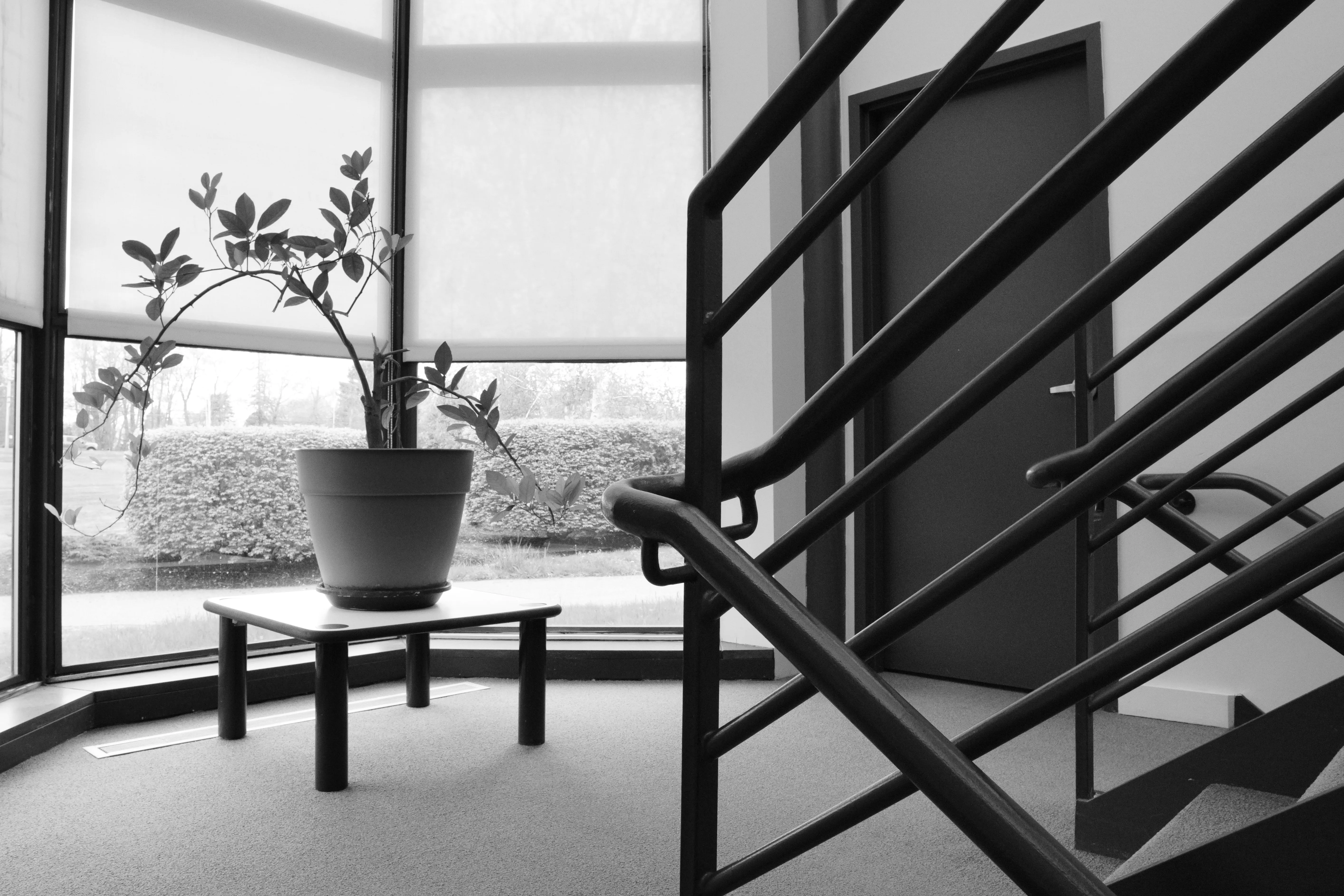 Photo of Architecture Library stair landing by Hamilton Carney